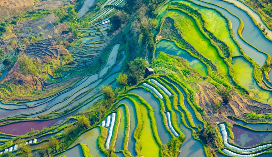走进新乡县TVC拍摄：解锁本地化场景与创意镜头的完美融合
